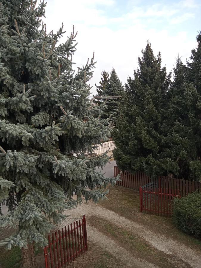 Borostyan Vendeghaz Διαμέρισμα Balatonkeresztúr Εξωτερικό φωτογραφία